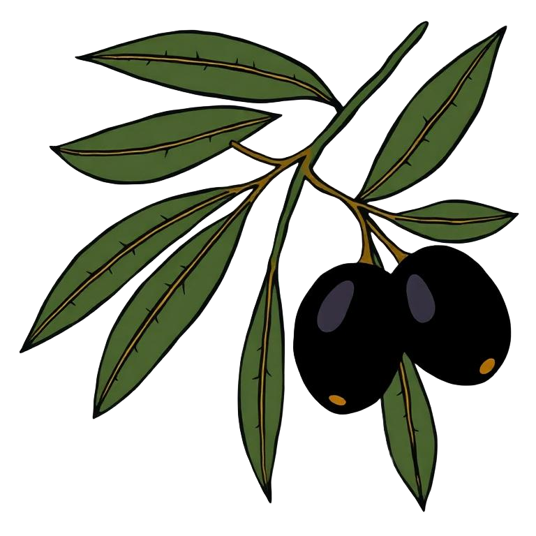 Olive branch heavy with black olives